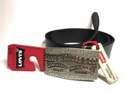 Large Logo Plaque Belt
