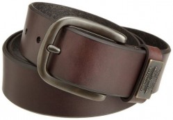Bridle With Ornament Brown Belt