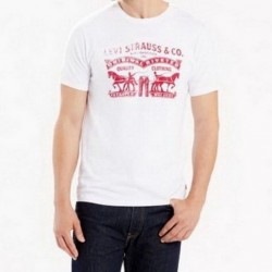 2 Horse Graphic Logo T-Shirt