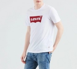 Batwing Logo Graphic T-Shirt